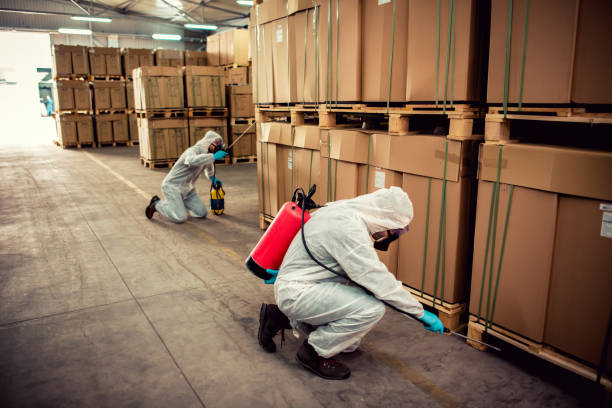 Best Wasp Removal Services  in Chandler, AZ