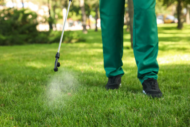 Best Rat Extermination Near Me  in Chandler, AZ